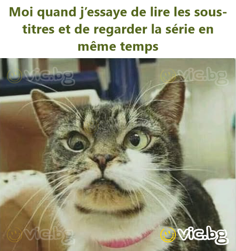 Moi quand j’essaye de lire les sous-titres et de regarder la série en même temps