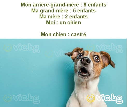 Mon arrière-grand-mère : 8 enfants
Ma grand-mère : 5 enfants
Ma mère : 2 enfants
Moi : un chien

Mon chien : castré