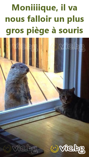 Moniiiique, il va nous falloir un plus gros piège à souris