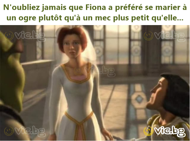 N'oubliez jamais que Fiona a préféré se marier à un ogre plutôt qu'à un mec plus petit qu'elle...