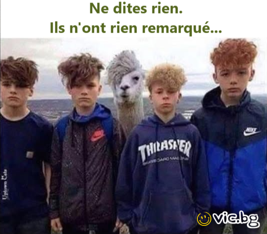 Ne dites rien. Ils n'ont rien remarqué...