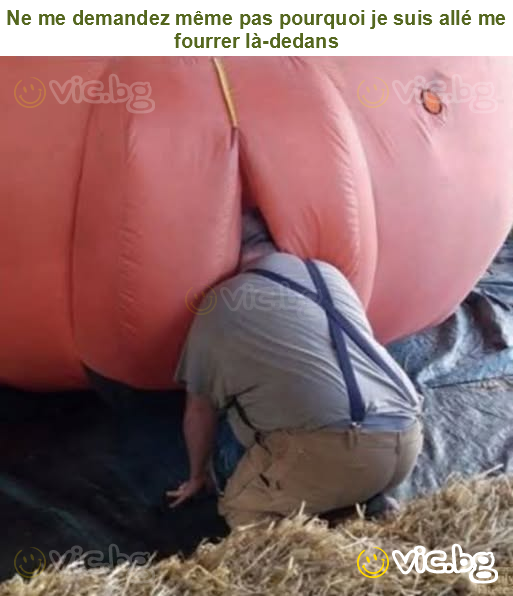 Ne me demandez même pas pourquoi je suis allé me fourrer là-dedans