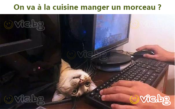 On va à la cuisine manger un morceau ?