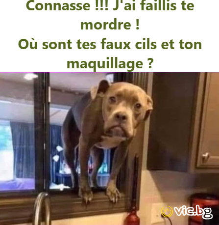 Onnasse ::: J ai faillis te mordre ! Où sont tes faux cils et ton maquillage ?