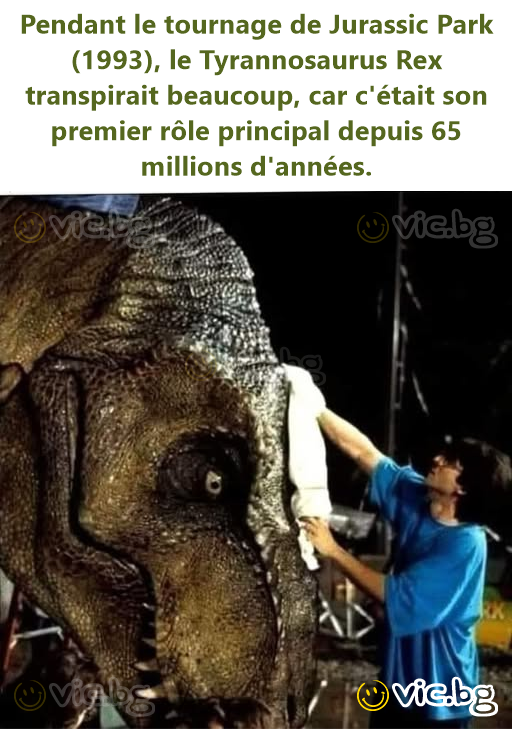 Pendant le tournage de Jurassic Park (1993), le Tyrannosaurus Rex transpirait beaucoup, car c'était son premier rôle principal depuis 65 millions d'années.