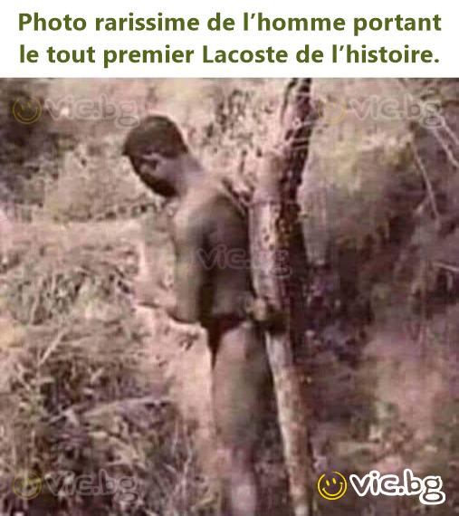 Photo rarissime de l’homme portant le tout premier Lacoste de l’histoire.