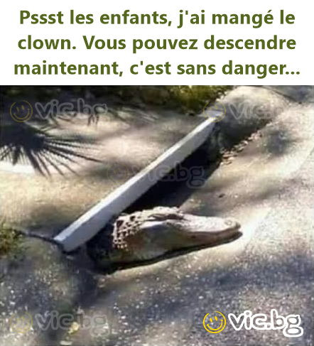 Pssst les enfants, j'ai mangé le clown. Vous pouvez descendre maintenant, c'est sans danger...