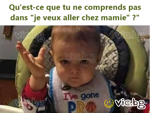 Qu'est-ce que tu ne comprends pas dans "je veux aller chez mamie" ?"