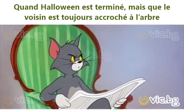 Quand Halloween est terminé, mais que le voisin est toujours accroché à l’arbre