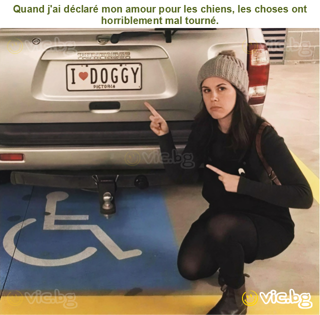 Quand j'ai déclaré mon amour pour les chiens, les choses ont horriblement mal tourné.