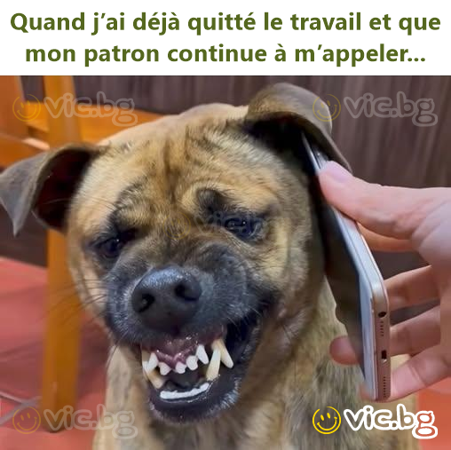 Quand j’ai déjà quitté le travail et que mon patron continue à m’appeler...