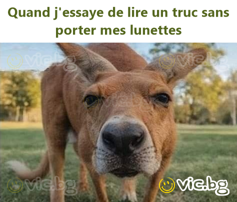 Quand j'essaye de lire un truc sans porter mes lunettes