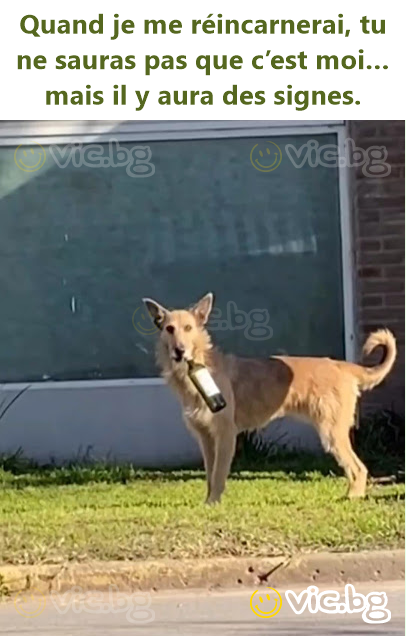 Quand je me réincarnerai, tu ne sauras pas que c’est moi… mais il y aura des signes.