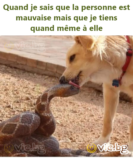 Quand je sais que la personne est mauvaise mais que je tiens quand même à elle
