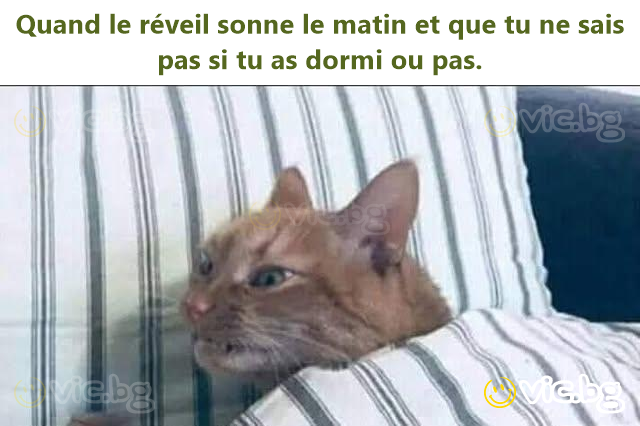 Quand le réveil sonne le matin et que tu ne sais pas si tu as dormi ou pas.