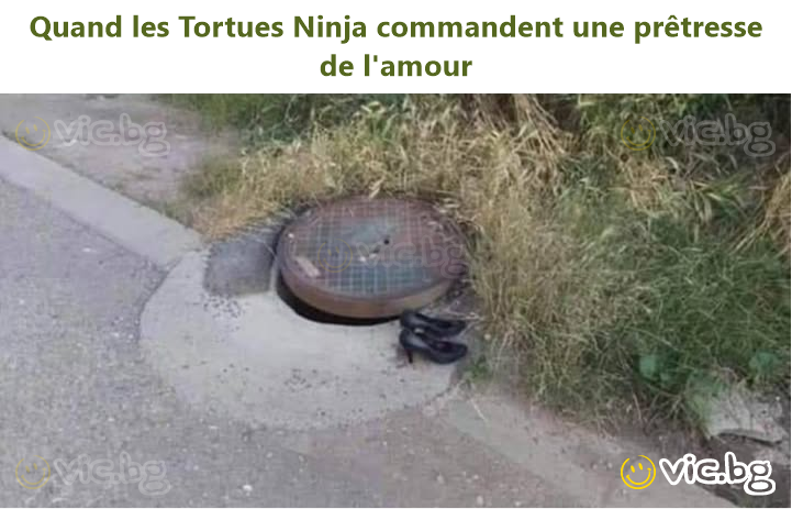 Quand les Tortues Ninja commandent une prêtresse de l'amour