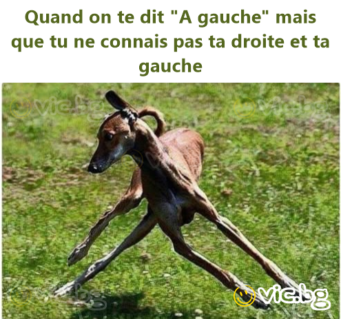 Quand on te dit "A gauche" mais que tu ne connais pas ta droite et ta gauche