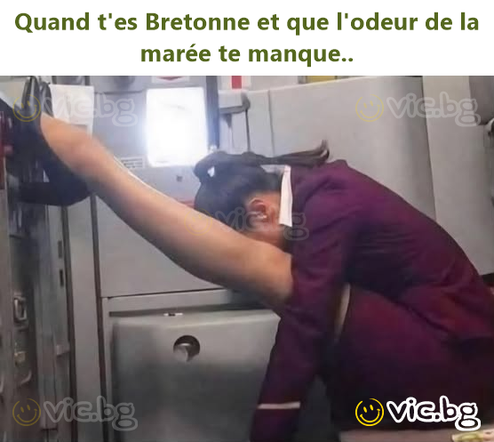 Quand t'es Bretonne et que l'odeur de la marée te manque..