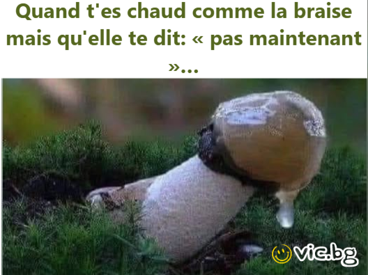 Quand t'es chaud comme la braise mais qu'elle te dit: « pas maintenant »…