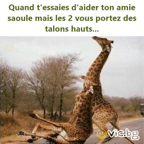 Quand t'essaies d'aider ton amie saoule mais les 2 vous portez des talons hauts...