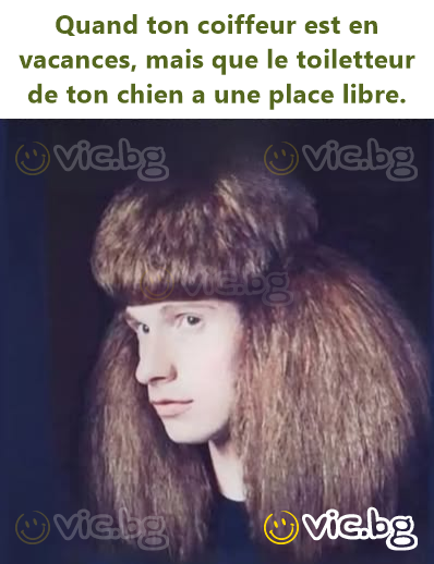 Quand ton coiffeur est en vacances, mais que le toiletteur de ton chien a une place libre.