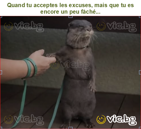 Quand tu acceptes les excuses, mais que tu es encore un peu fâché...