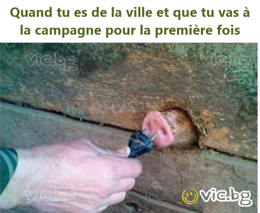 Quand tu es de la ville et que tu vas à la campagne pour la première fois