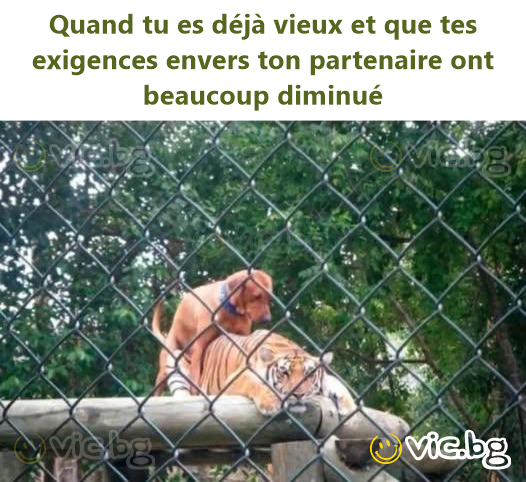 Quand tu es déjà vieux et que tes exigences envers ton partenaire ont beaucoup diminué