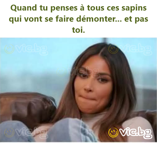 Quand tu penses à tous ces sapins qui vont se faire démonter... et pas toi.