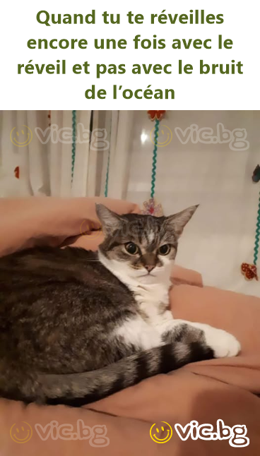 Quand tu te réveilles encore une fois avec le réveil et pas avec le bruit de l’océan