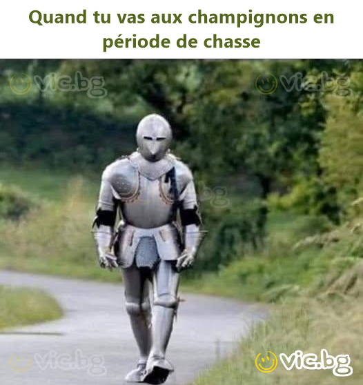 Quand tu vas aux champignons en période de chasse