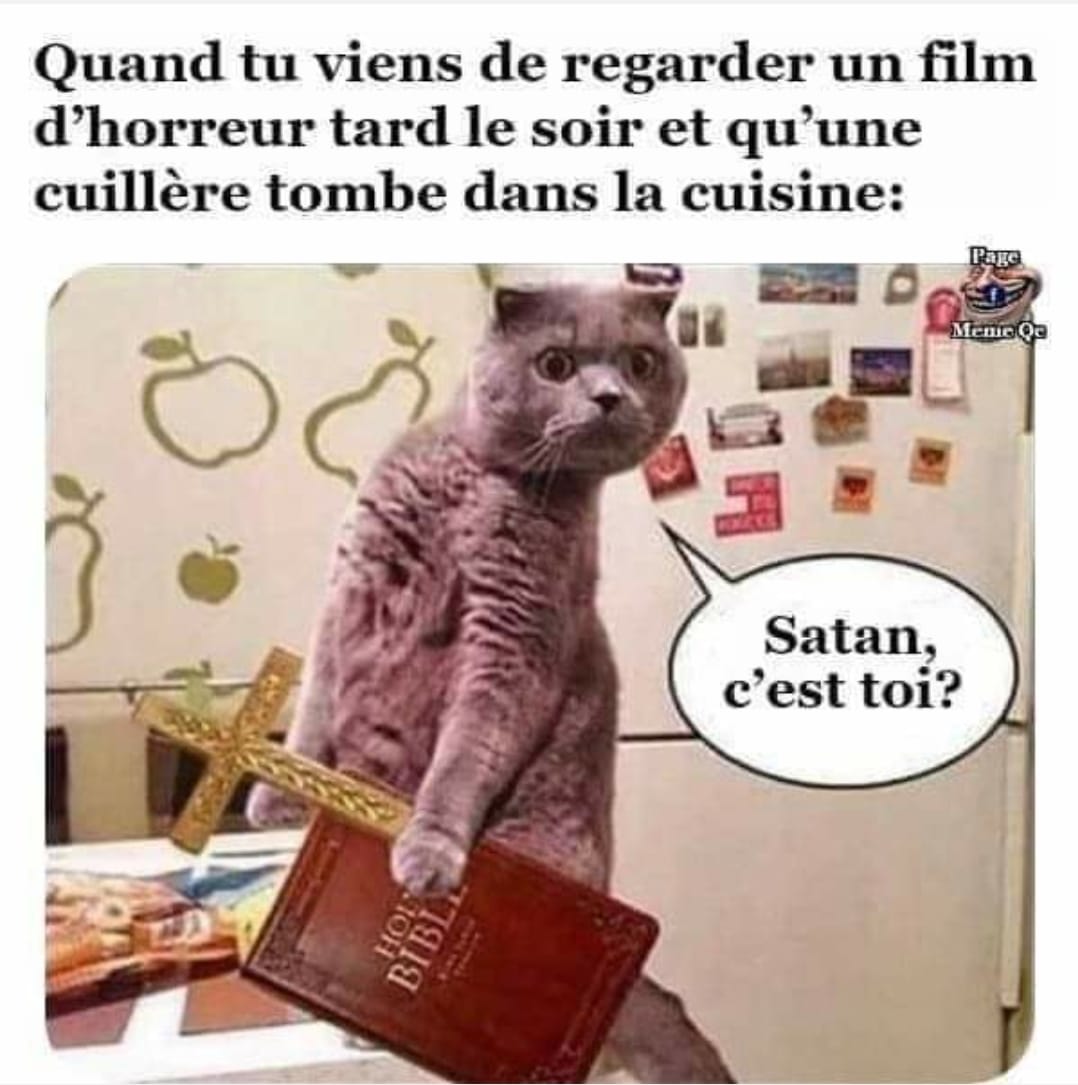 Quand tu viens de regarder un film d'horreur tard le soir et qu'une cuillère tombe dans la cuisine: Satan, c'est toi?