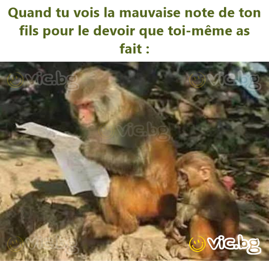 Quand tu vois la mauvaise note de ton fils pour le devoir que toi-même as fait :