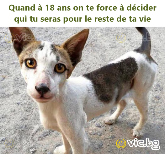 Quand à 18 ans on te force à décider qui tu seras pour le reste de ta vie