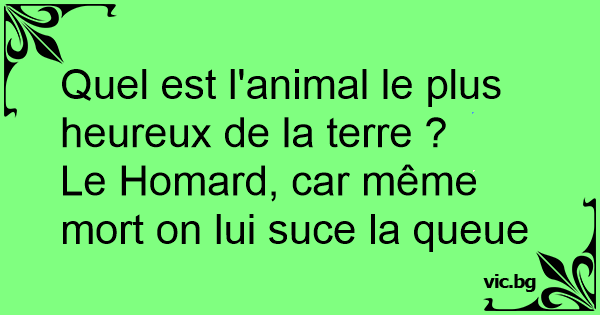 Quel Est L Animal Le Plus Heureux De La Terre Le Homard Car Meme Mort On Lui Suce La Queue