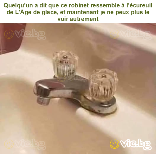 Quelqu’un a dit que ce robinet ressemble à l’écureuil de L’Âge de glace, et maintenant je ne peux plus le voir autrement