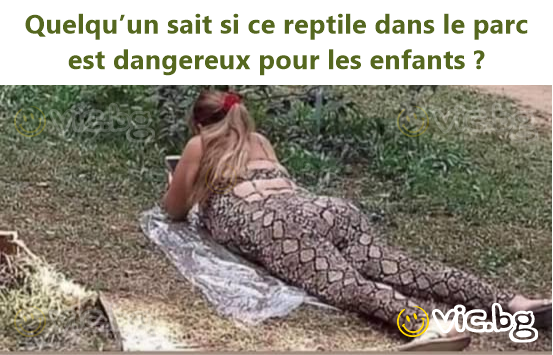 Quelqu’un sait si ce reptile dans le parc est dangereux pour les enfants ?