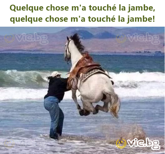 Quelque chose m'a touché la jambe, quelque chose m'a touché la jambe!