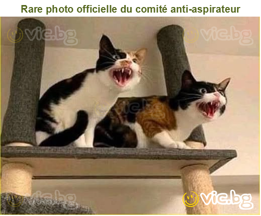 Rare photo officielle du comité anti-aspirateur
