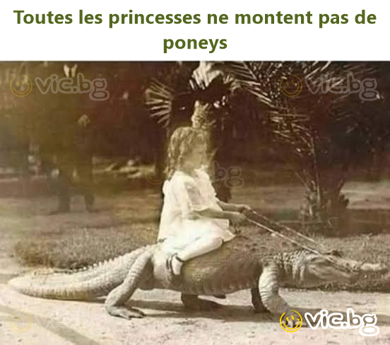 Toutes les princesses ne montent pas de poneys
