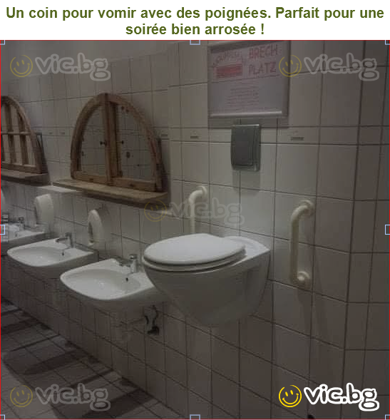 Un coin pour vomir avec des poignées. Parfait pour une soirée bien arrosée !