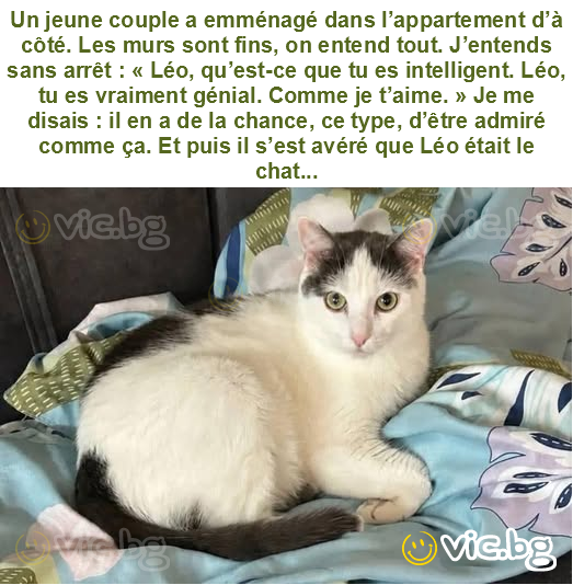 Un jeune couple a emménagé dans l’appartement d’à côté. Les murs sont fins, on entend tout. J’entends sans arrêt : « Léo, qu’est-ce que tu es intelligent. Léo, tu es vraiment génial. Comme je t’aime....