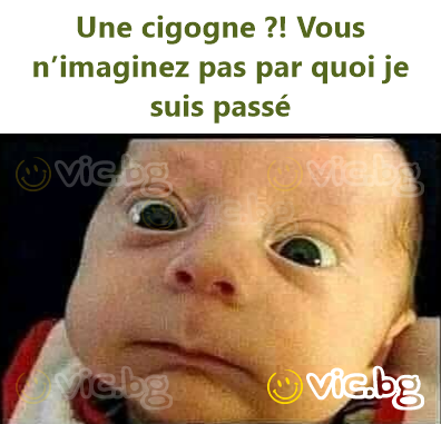 Une cigogne ?! Vous n’imaginez pas par quoi je suis passé