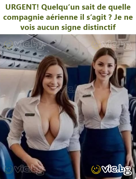 URGENT! Quelqu’un sait de quelle compagnie aérienne il s’agit ? Je ne vois aucun signe distinctif