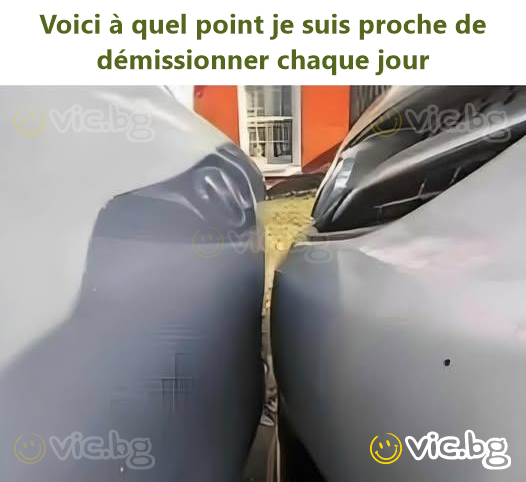 Voici à quel point je suis proche de démissionner chaque jour