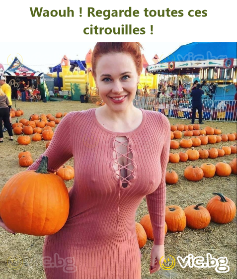 Waouh ! Regarde toutes ces citrouilles !