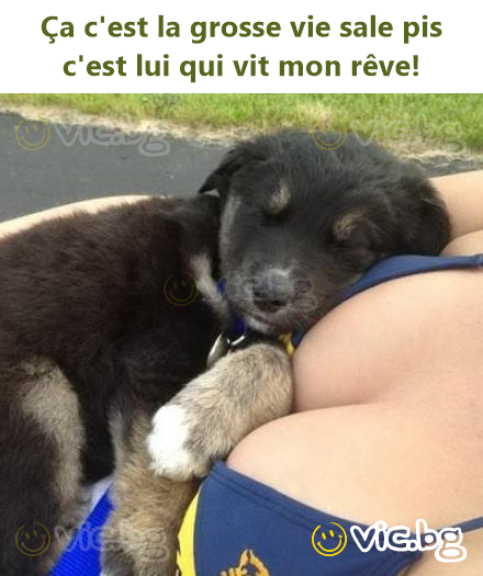 Ça c'est la grosse vie sale pis c'est lui qui vit mon rêve!