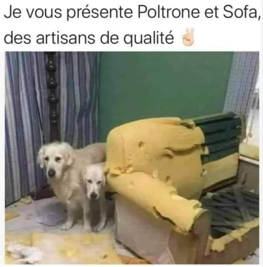 Је vous prеsente Poltrone et Sofa, des artisans de qualitе