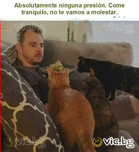 Absolutamente ninguna presión. Come tranquilo, no te vamos a molestar.