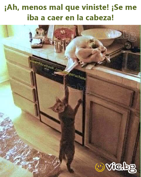 ¡Ah, menos mal que viniste! ¡Se me iba a caer en la cabeza!